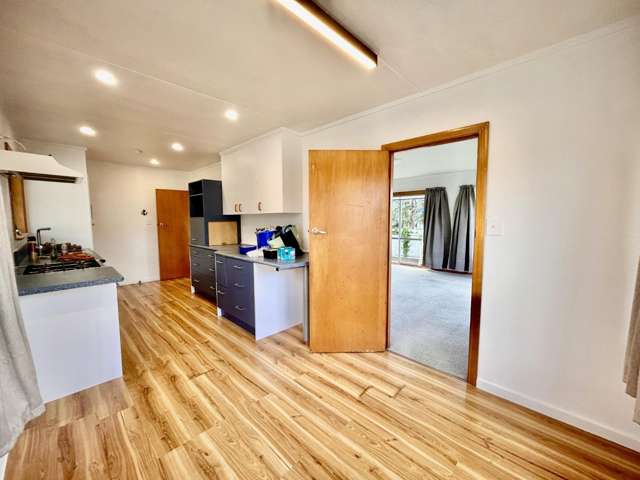 39 Plunket Street Tamatea_2