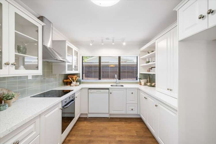 17B Selwyn Street Tauranga_6