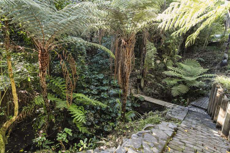 60b Temple Street Meadowbank_16