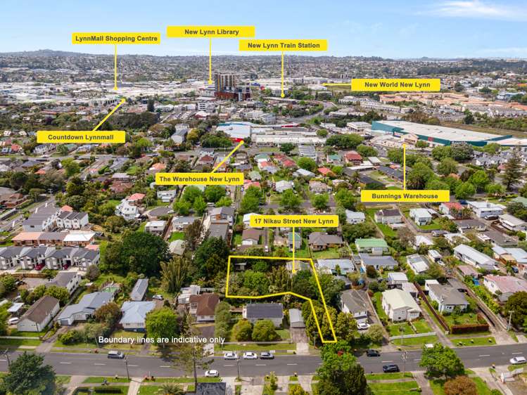 17 Nikau Street New Lynn_23