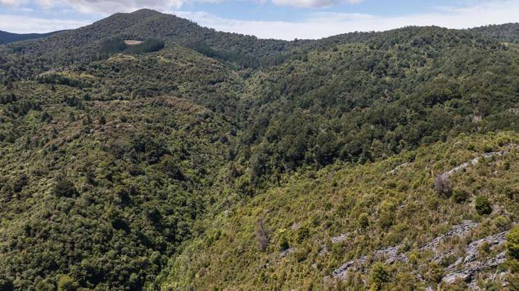 Lot 1 Rameka Creek Road Takaka_21
