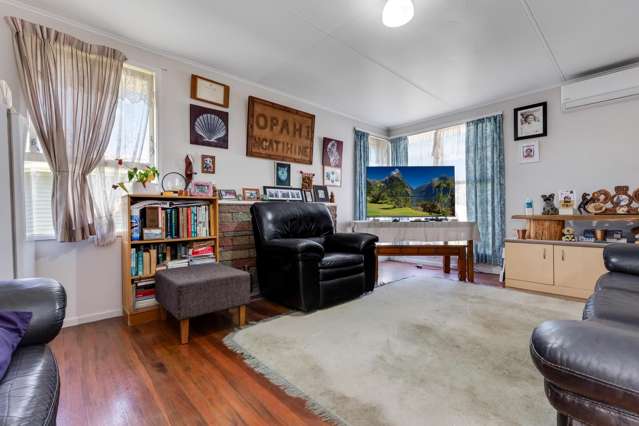 180 Tennessee Avenue Mangere East_3