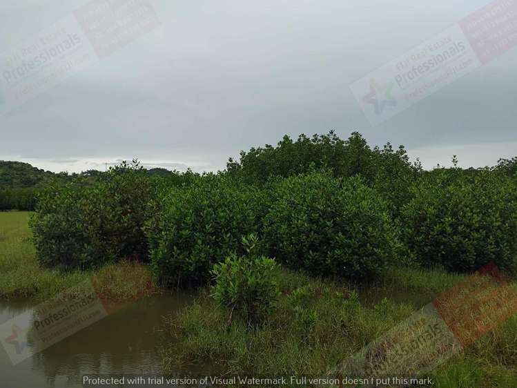 Address withheld Labasa_11