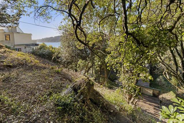 2/12 Te Anau Avenue Hataitai_2