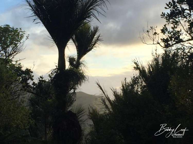 139 Warner Road Takahue_14