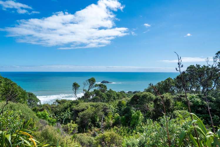 449 Oaia Road, Muriwai Beach Waimauku_29