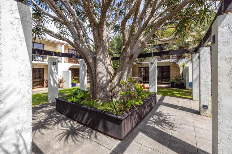 1F/3-7 Fourth Avenue Onetangi_17