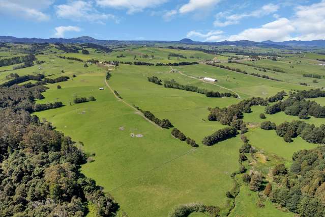 Knight Road Ruatangata_1