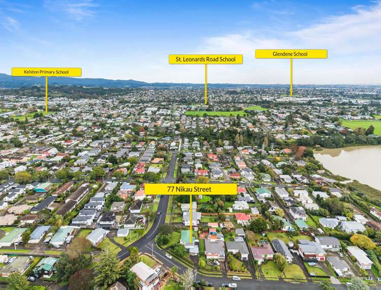 77 Nikau Street New Lynn_24