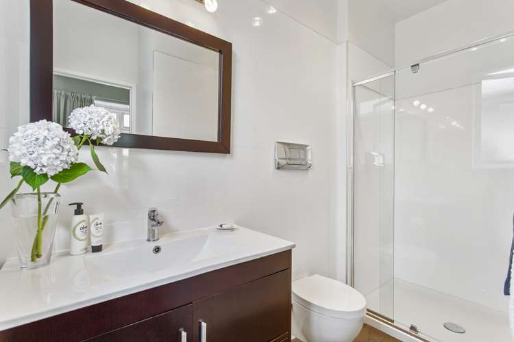 80 Peary Road Mount Eden_13