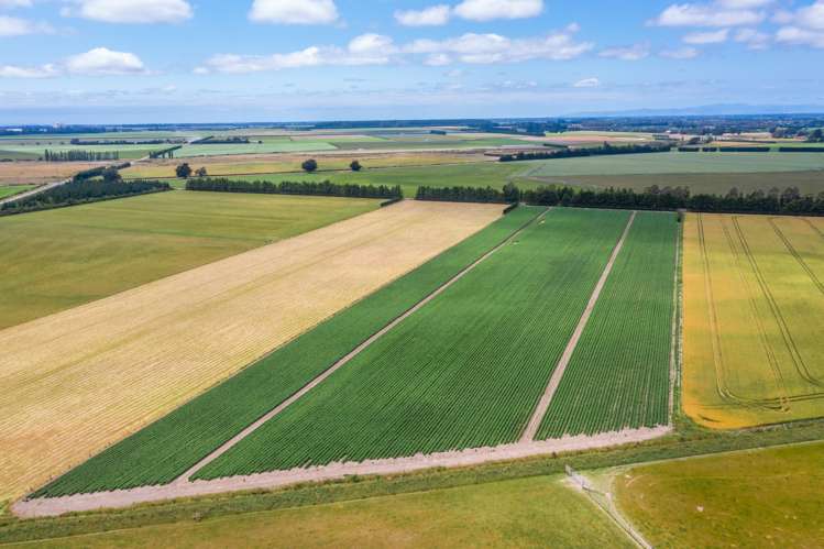 Waireka Road Darfield_9