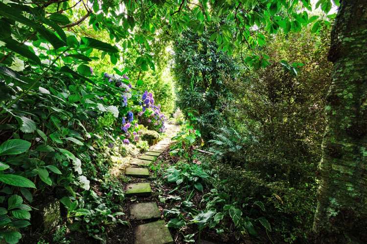 1579 Tokanui-Gorge Road Highway Fortrose_21