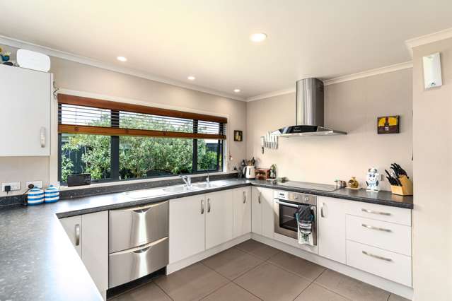 22 Tudor Grove Feilding_4