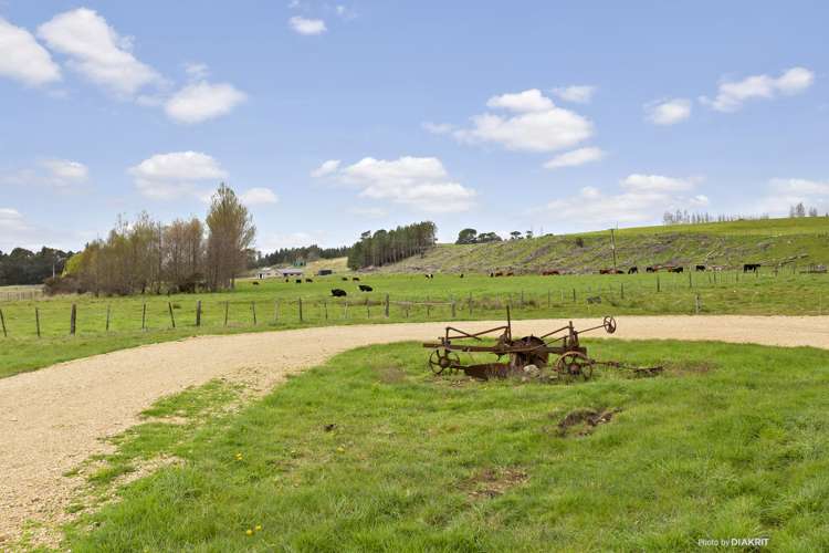 273 Mikimiki Road Mikimiki_13