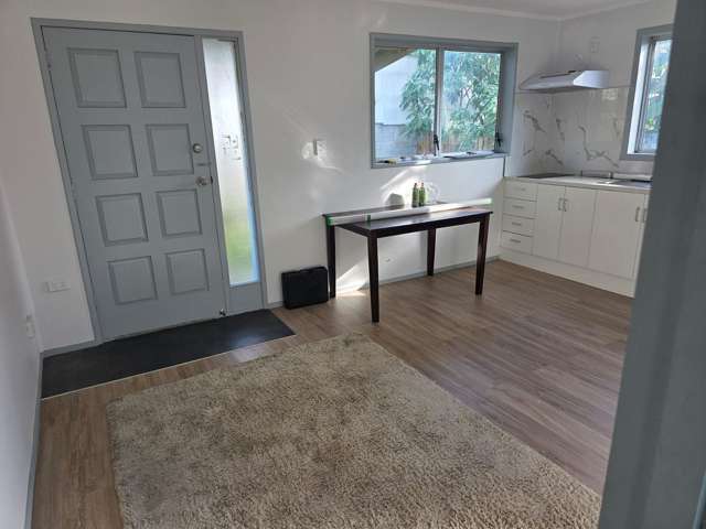 1/9 Slim Place Clendon Park_1