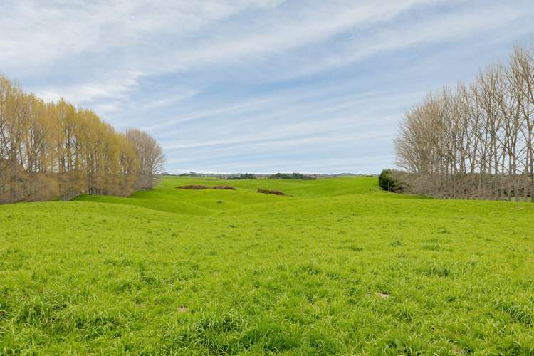 936 Pongakawa Bush Road Pongakawa_22