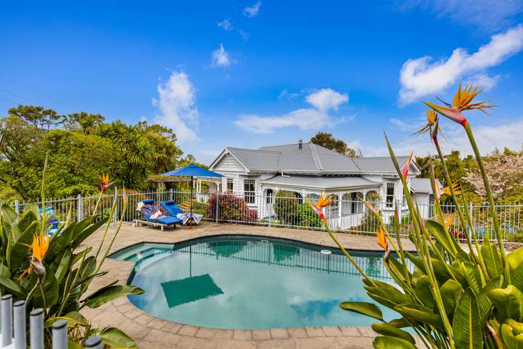 36 Albany Heights Road Albany Heights_2