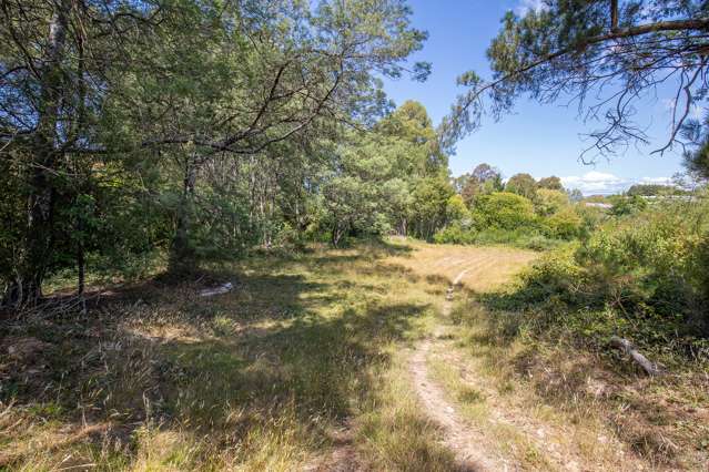 114 Dominion Road Mapua_4