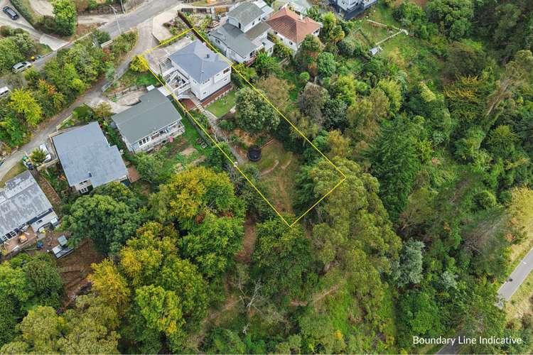 37 Thompson Terrace Toi Toi_19