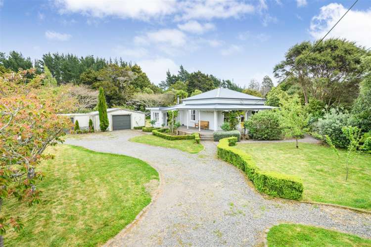 93 Trickers Road Bulls_5