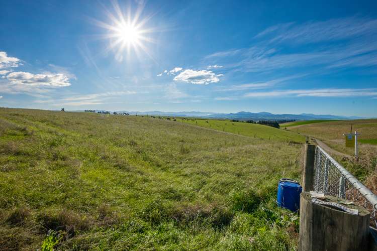 160 Esler Road Pleasant Point_14