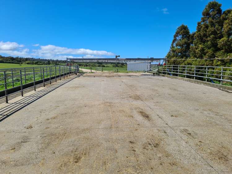 1384 Ihaia Road Opunake_11