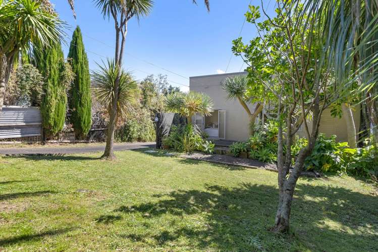 217 Blockhouse Bay Road Avondale_14