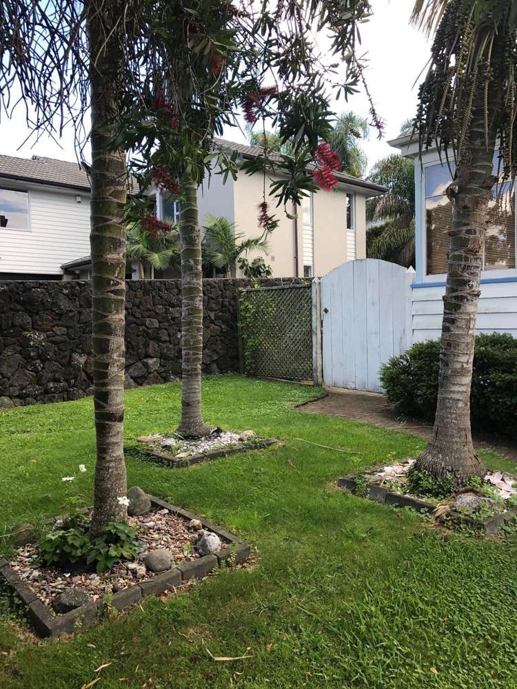 4 Woodbine Avenue Greenlane_1