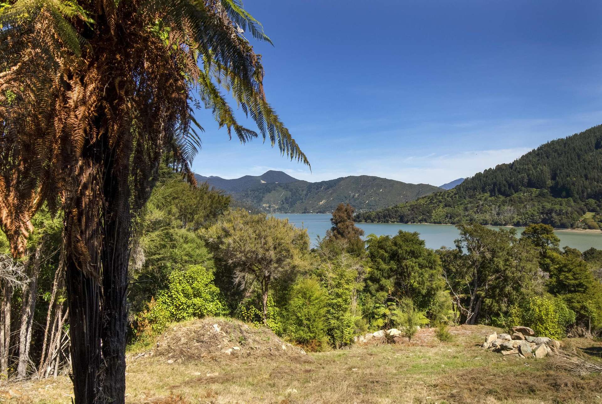Lot 42 Kaiuma Bay Road Kaiuma Bay_0