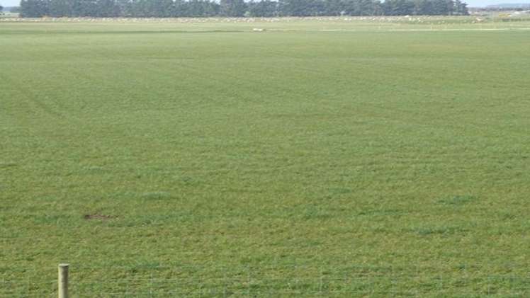 45 Tiwai Road Woodend_9