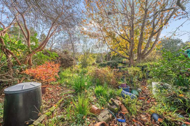 47 Maclaren Street Maymorn_7