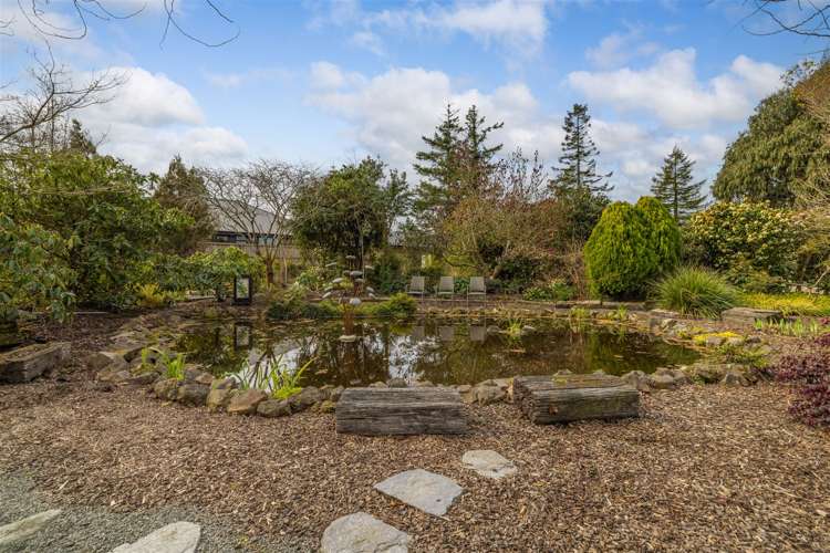 185 Cavendish Road Casebrook_24