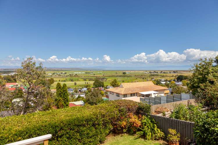 320 Marshall Crescent Thames_13