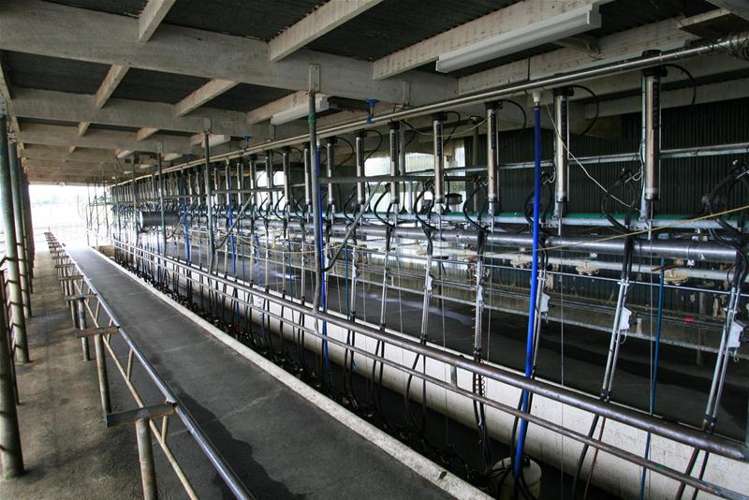 173 Anderson Road Eltham_5