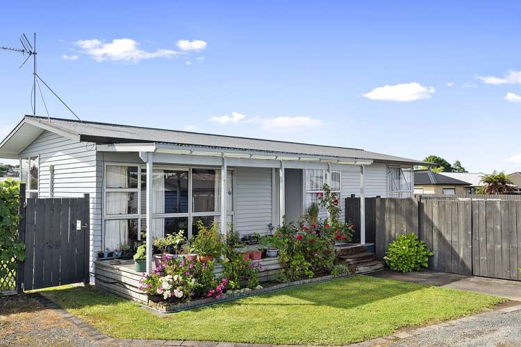 45a Grandview Road Nawton_0