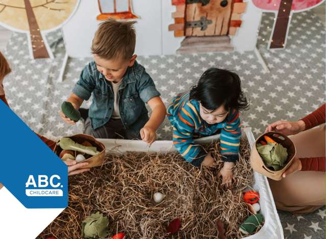 Childcare Business Hawkes Bay