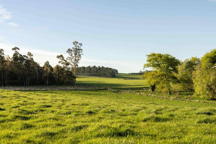 Rowallan Road Darfield_36