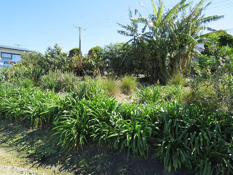 600 Pahi Road Paparoa_6