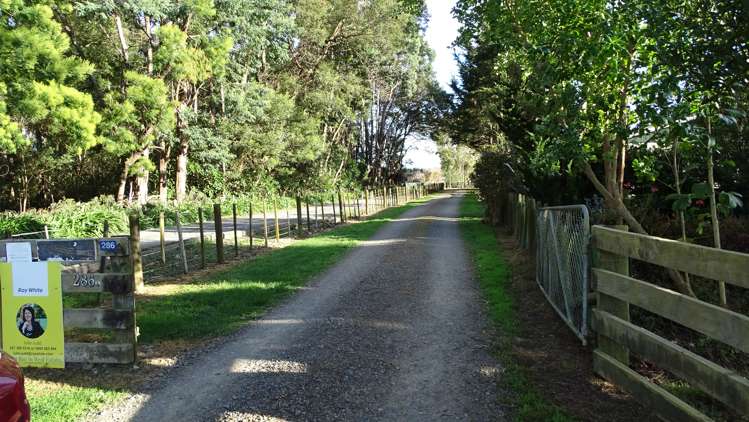 286a Arapaepae South Road Levin_19