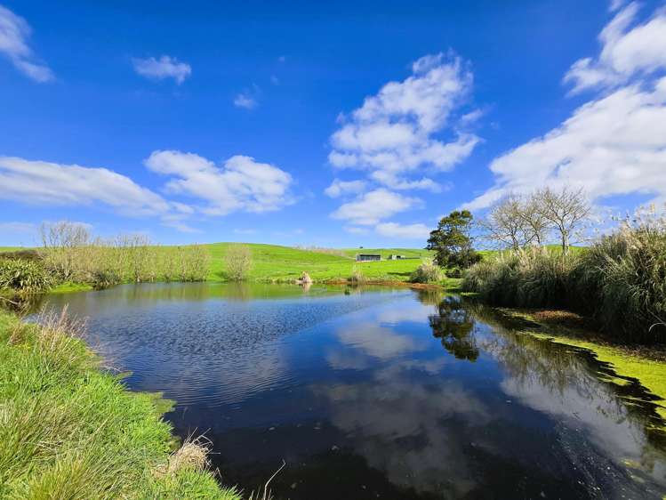 213 Lindquist Road Ararua_22