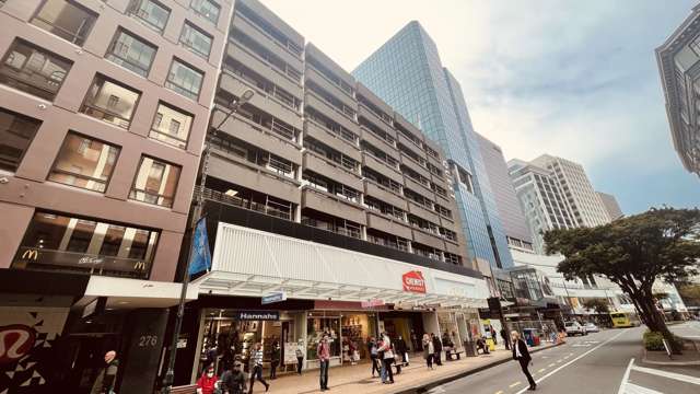 Level 3/256 Lambton Quay Wellington Central_1