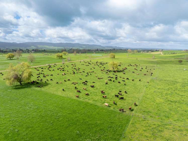 52 Kerr Road, RD 3, Te Poi_0