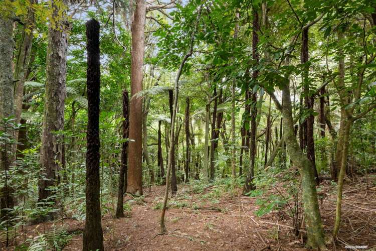 65a Sommerville Road Mauku_21