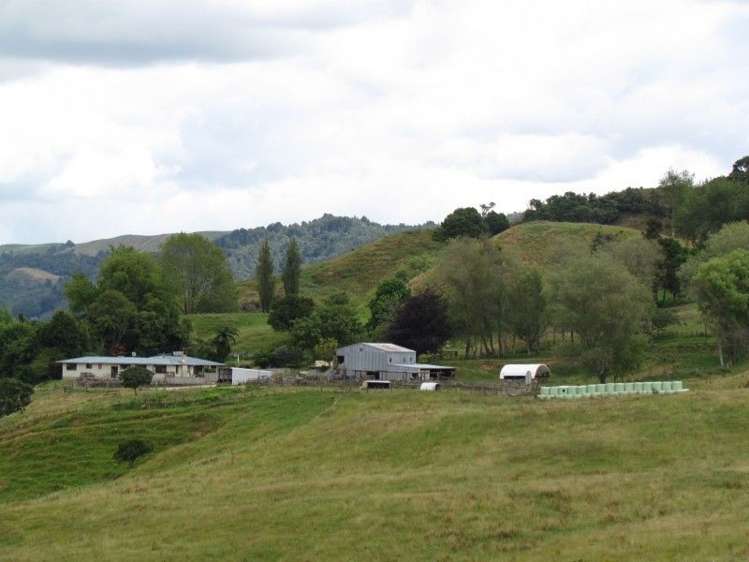 531 Boddie Road Te Kuiti_1