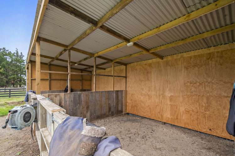 21 Raumai Road Bulls_21