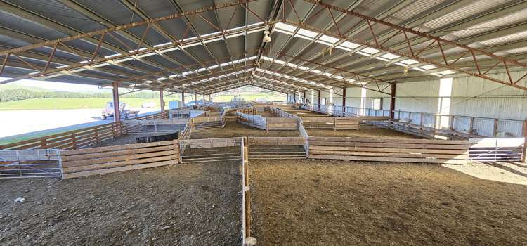 623 Slopedown Road Catlins Surrounds_9