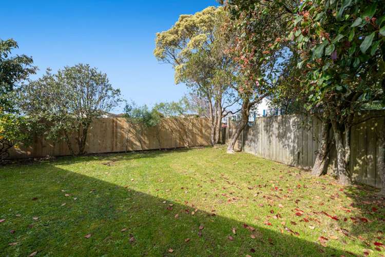 61 Luckens Road West Harbour_22