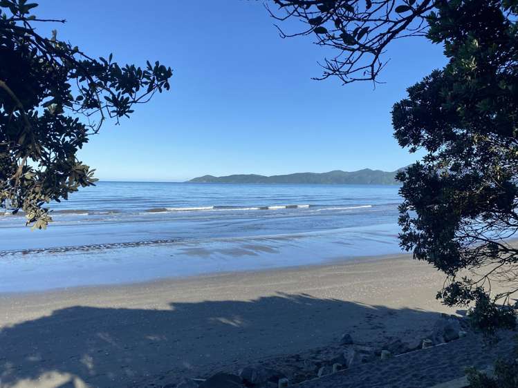 145B Rosetta Road Raumati South_26