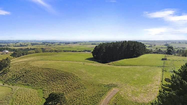 80 View Road Halcombe_7