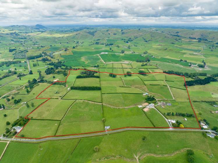 83 Waikuku Road Morrinsville_0